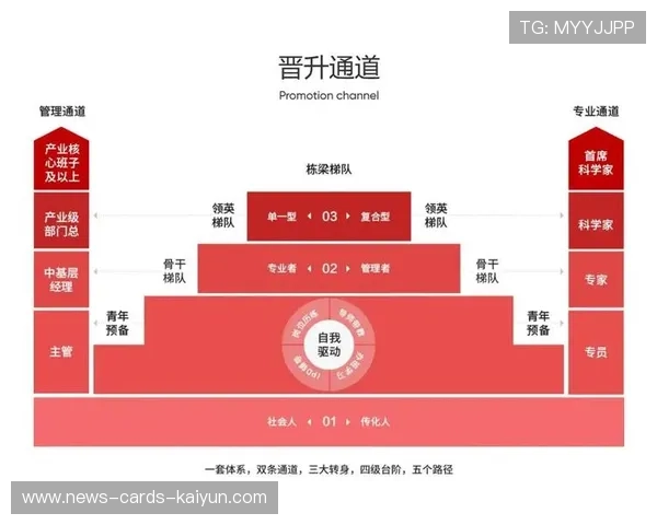 流浪者决定把青年晋升通道商业化提升自我造血